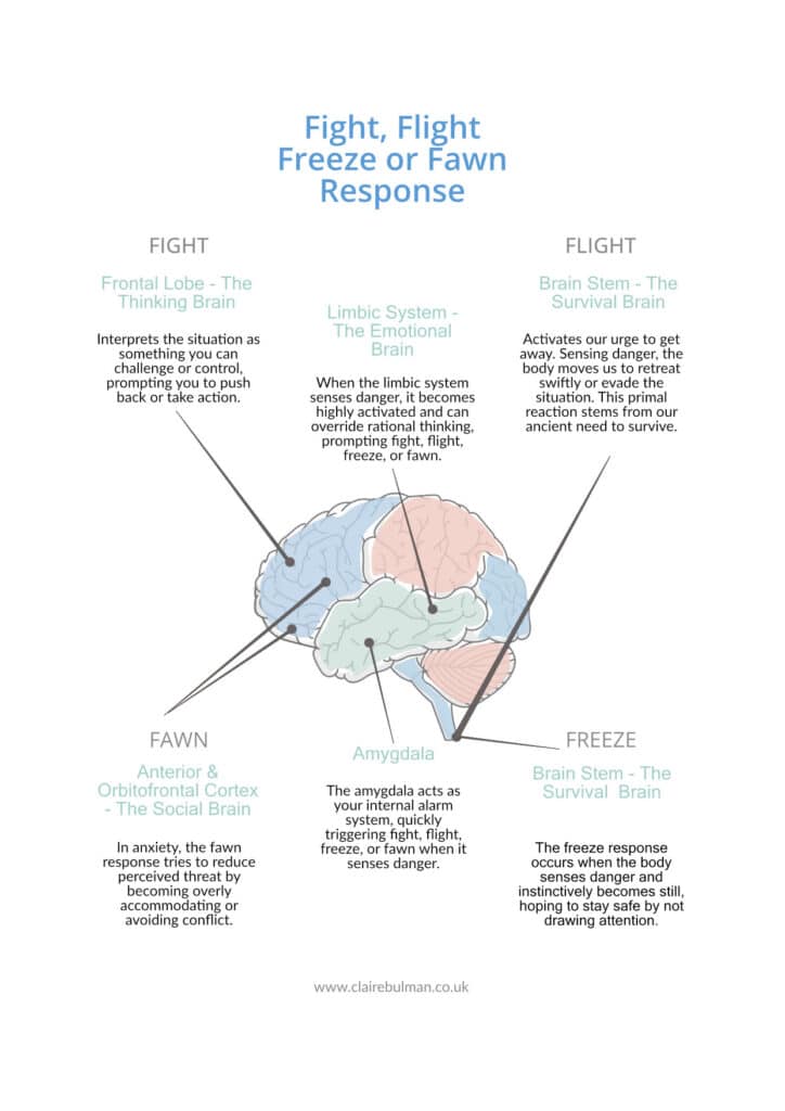Illustration of fight-or-flight response and amygdala activation during workplace stress